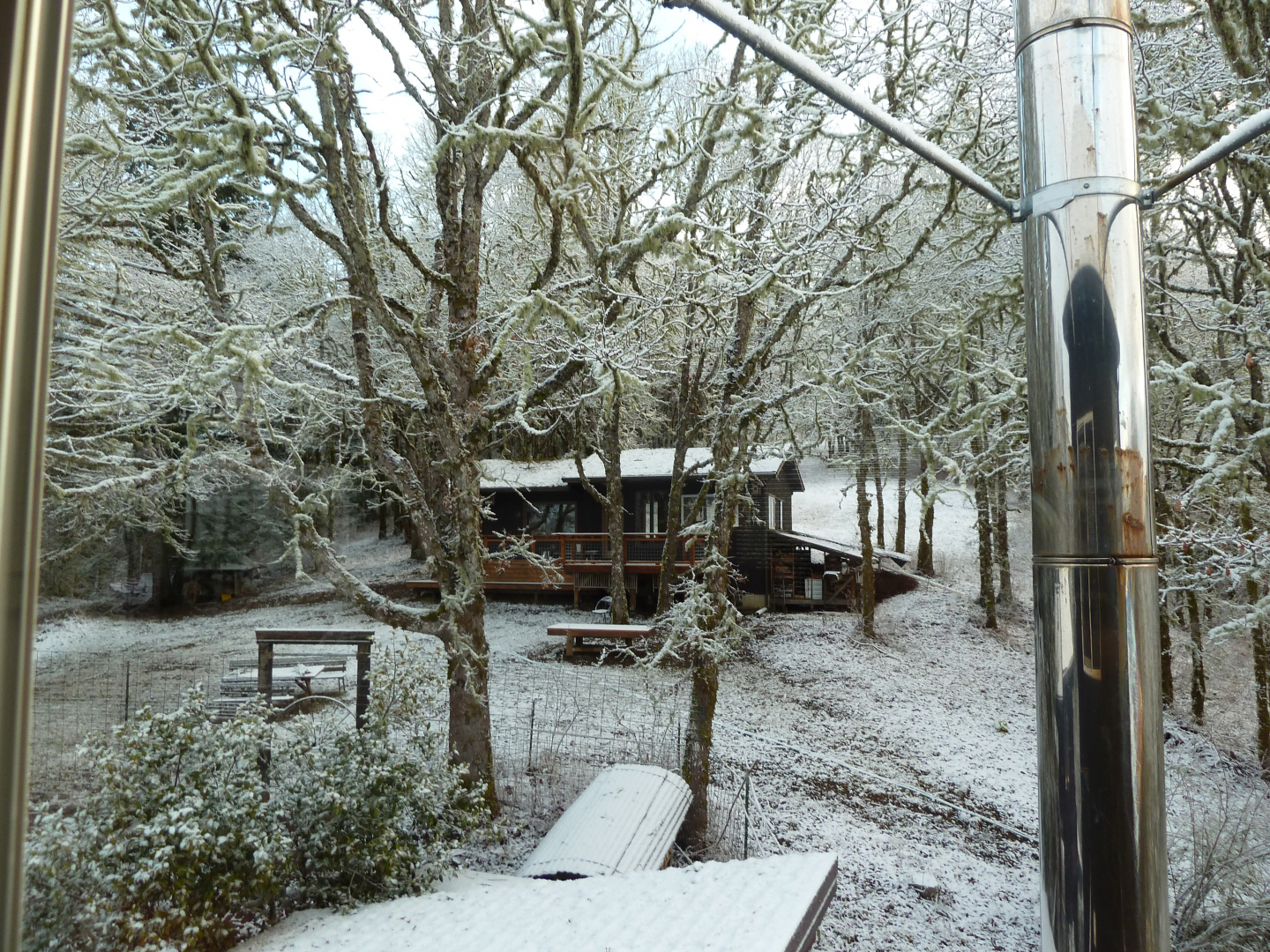 Her cabin in Oregon